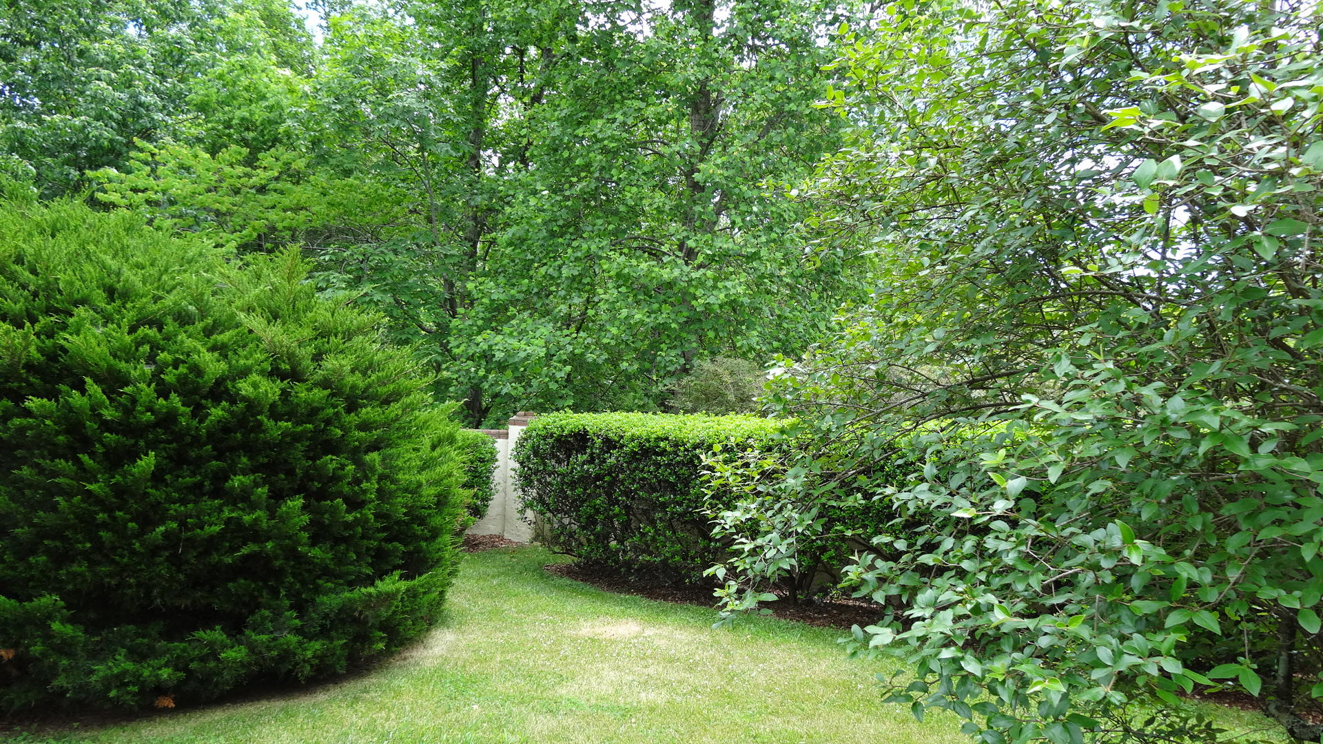 802 Signal Mountain Road, Unit 119 Chattanooga, TN 37405 - Photo 23 of 28 DSC00768