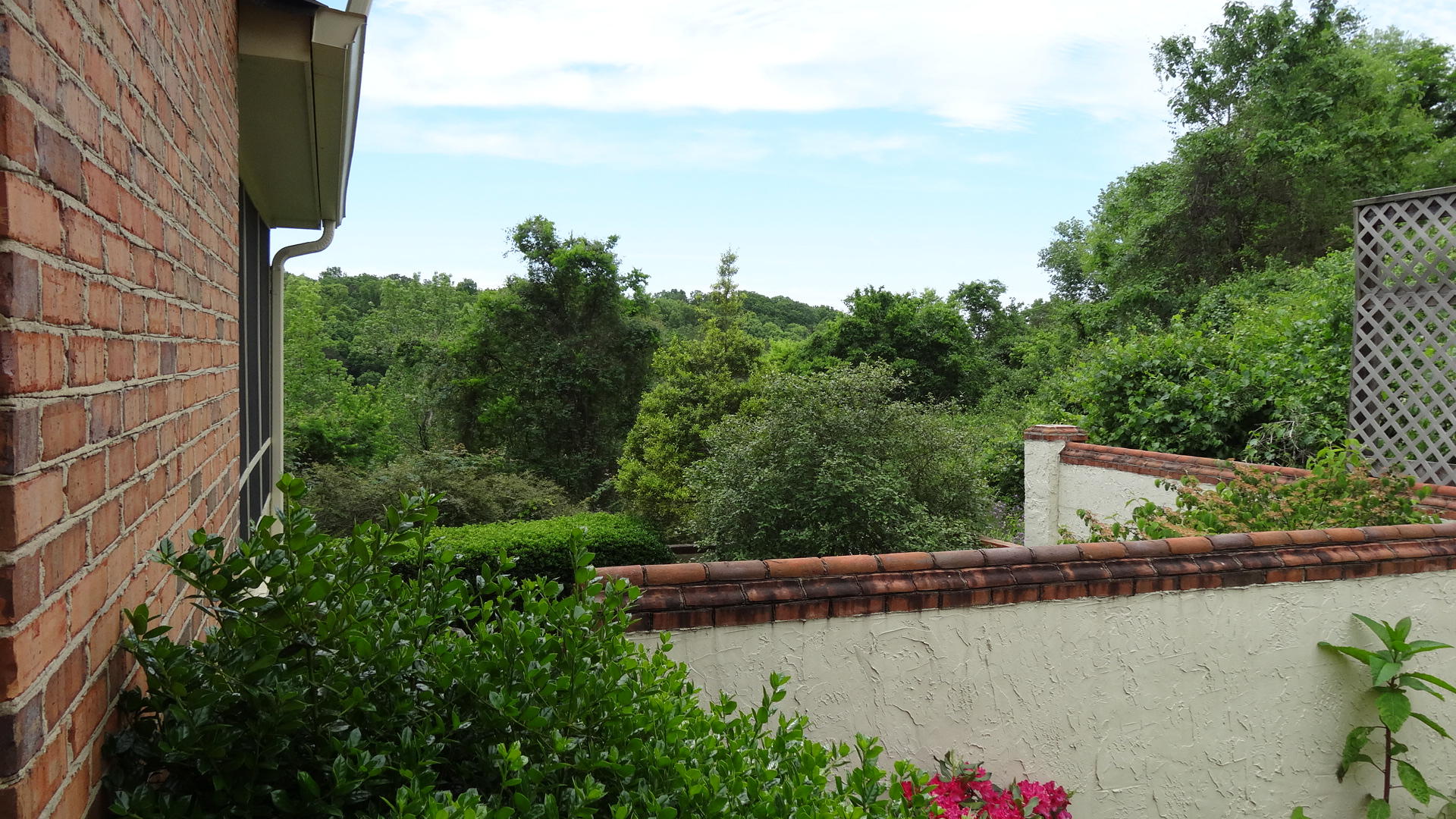 802 Signal Mountain Road, Unit 119 Chattanooga, TN 37405 - Photo 27 of 28 DSC00772
