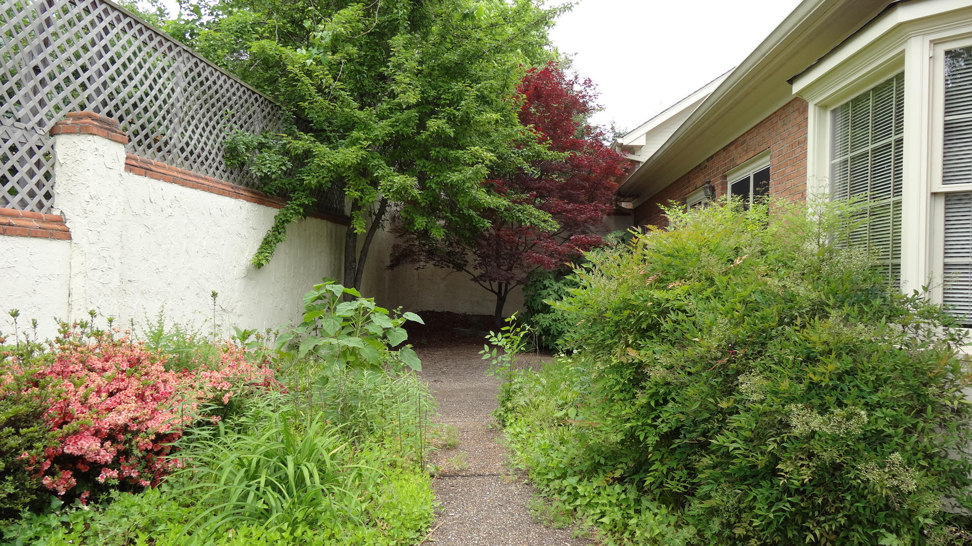 802 Signal Mountain Road, Unit 119 Chattanooga, TN 37405 - Photo 28 of 28 DSC00773