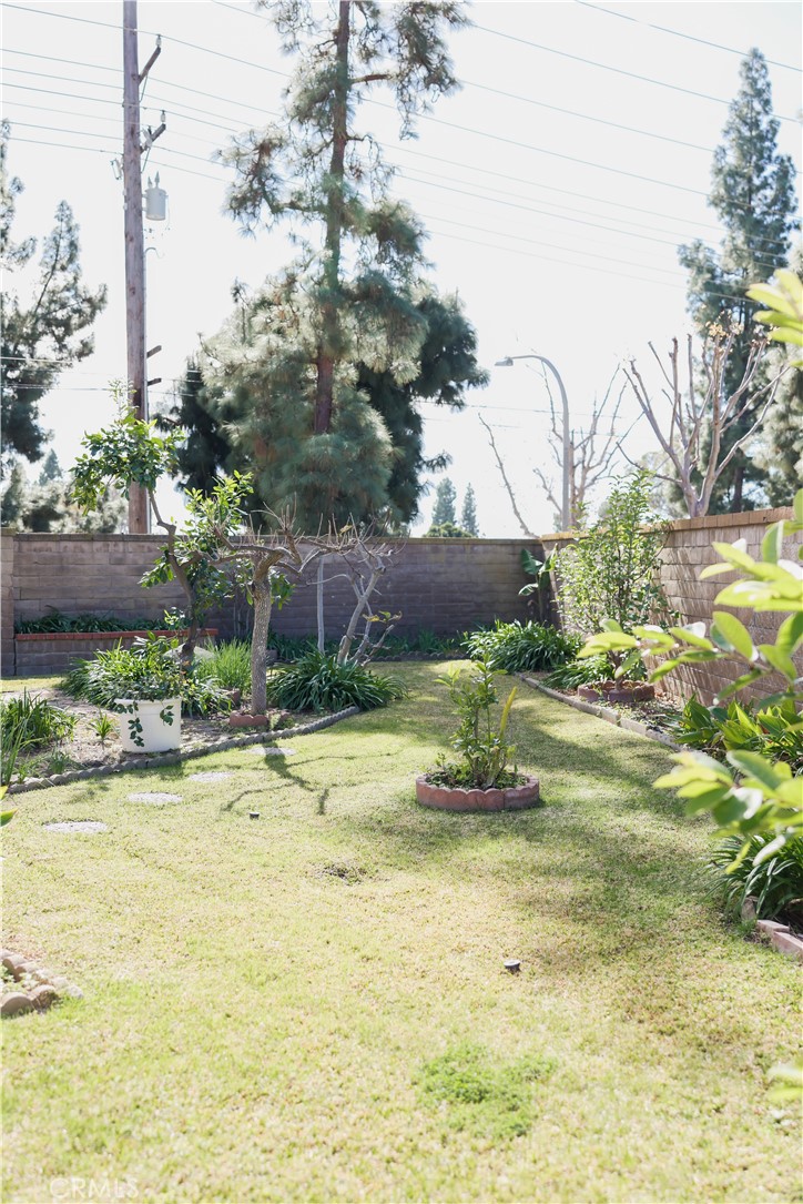 183 South Starflower Street Brea, CA 92821 - Photo 26 of 29 a view of a swimming pool with a yard