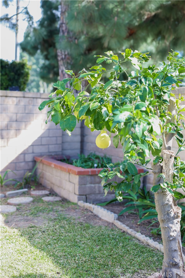 183 South Starflower Street Brea, CA 92821 - Photo 27 of 29 a backyard of a house with a yard and outdoor seating