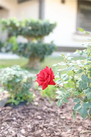 $6,600 | 183 South Starflower Street, Brea, CA 92821