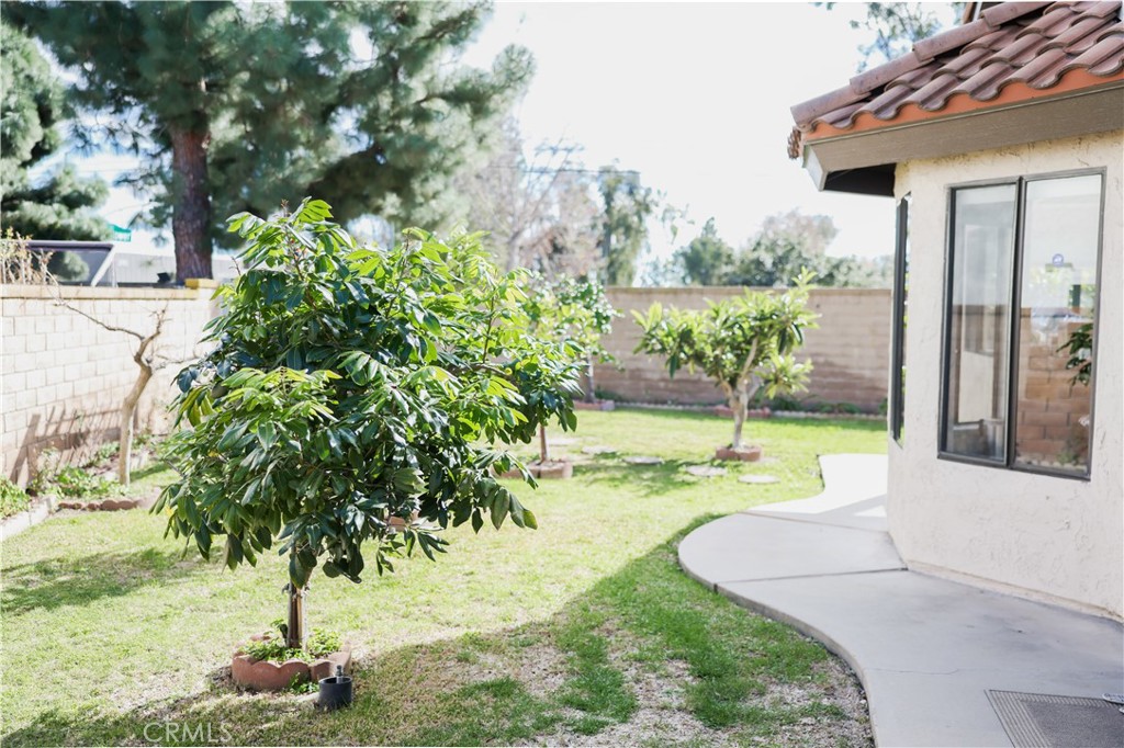 183 South Starflower Street Brea, CA 92821 - Photo 3 of 29 a view of a garden with a tree