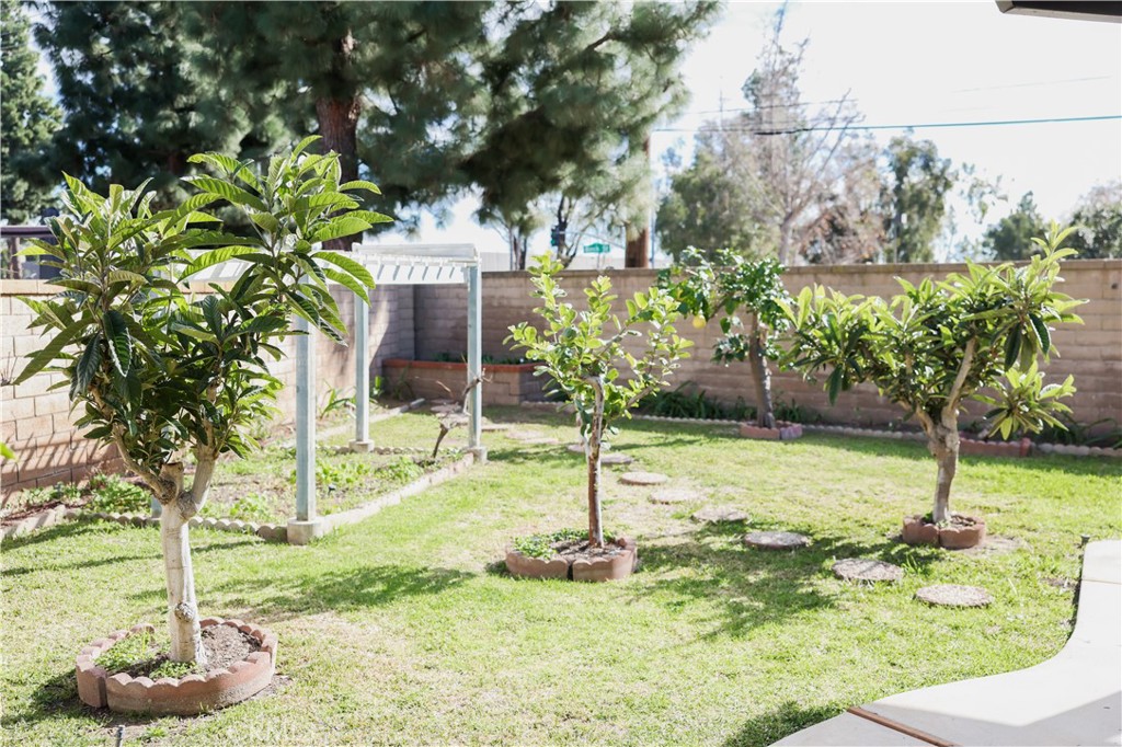 183 South Starflower Street Brea, CA 92821 - Photo 4 of 29 a backyard of a house with lots of green space