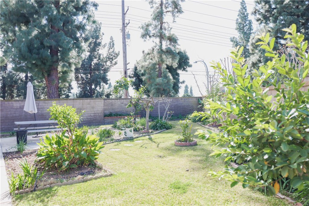 183 South Starflower Street Brea, CA 92821 - Photo 5 of 29 a backyard of a house with lots of green space