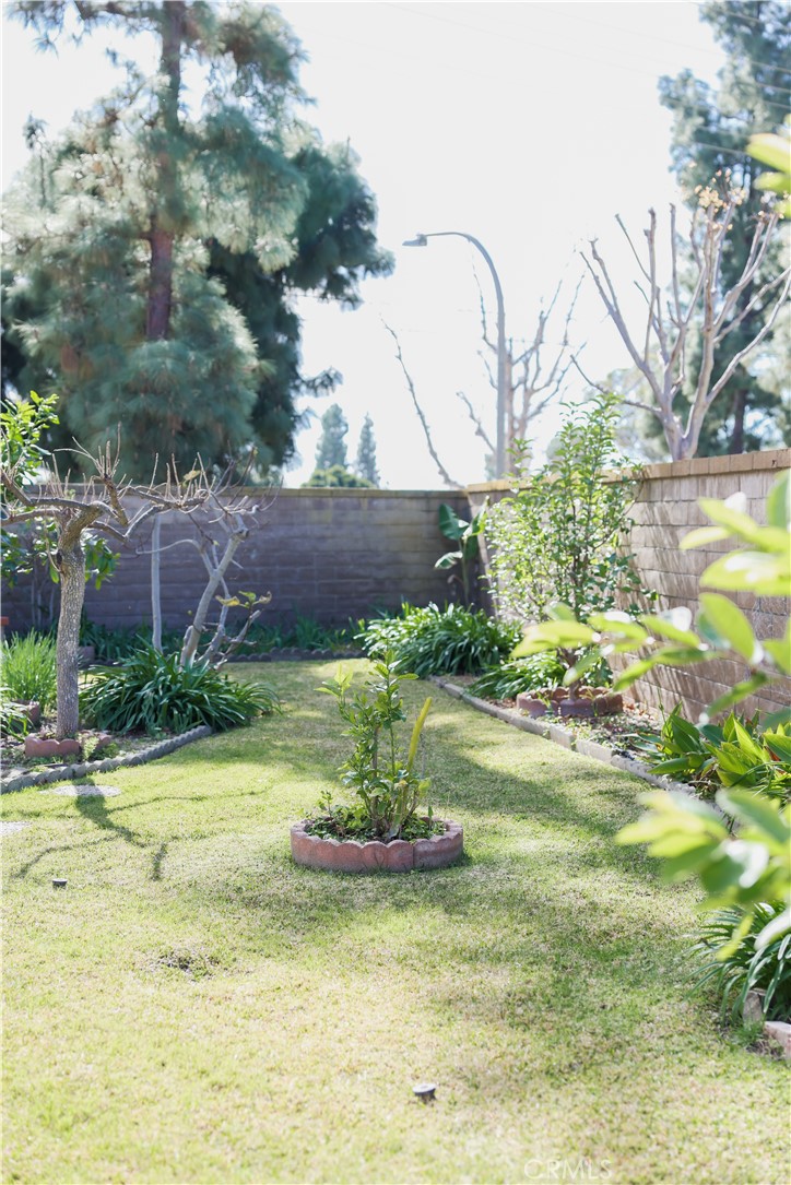 183 South Starflower Street Brea, CA 92821 - Photo 7 of 29 a view of a garden with a fountain