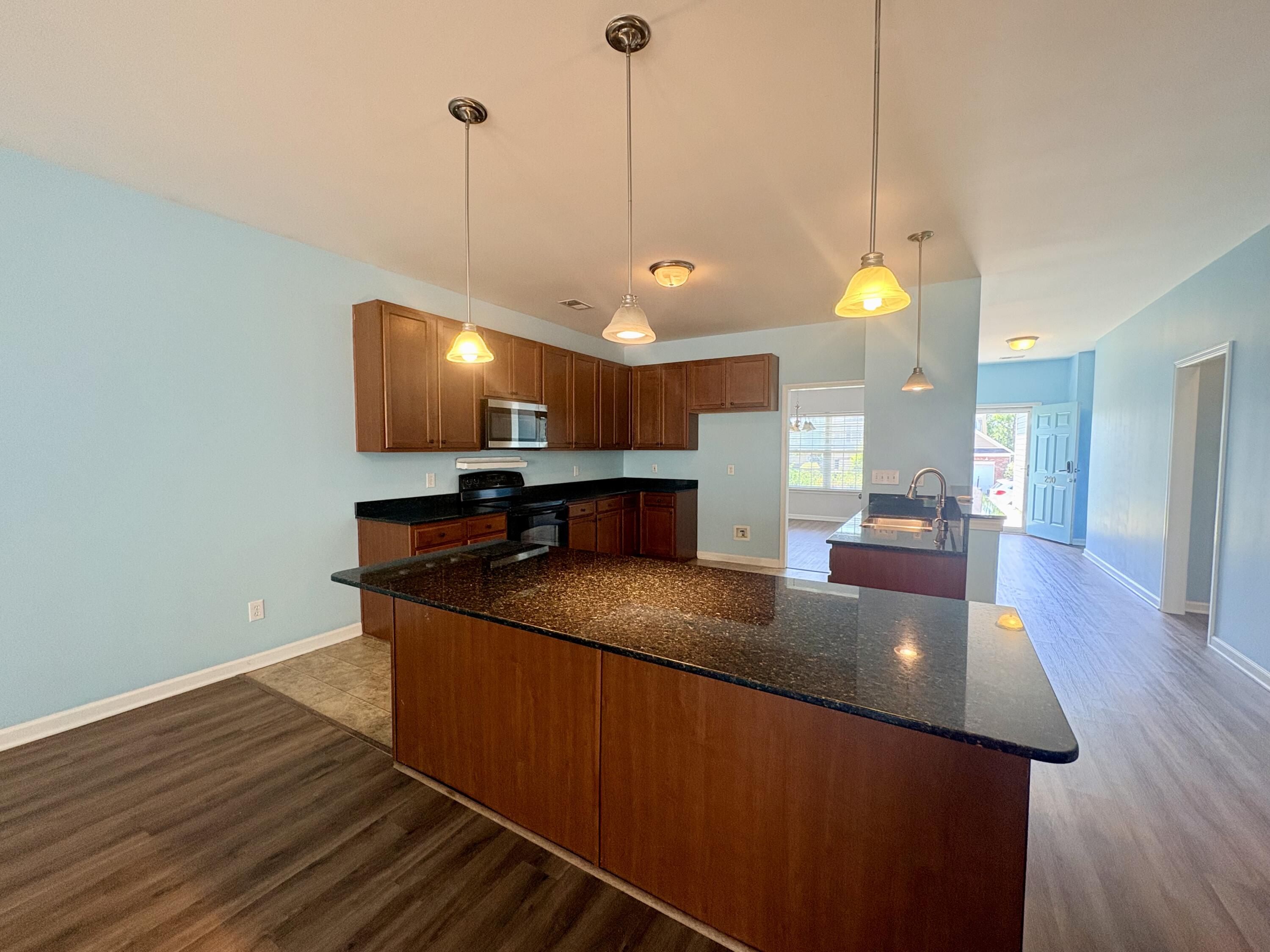 290 Baneberry Loop Lexington, SC 29073 - Photo 10 of 33 Gallery Image 10