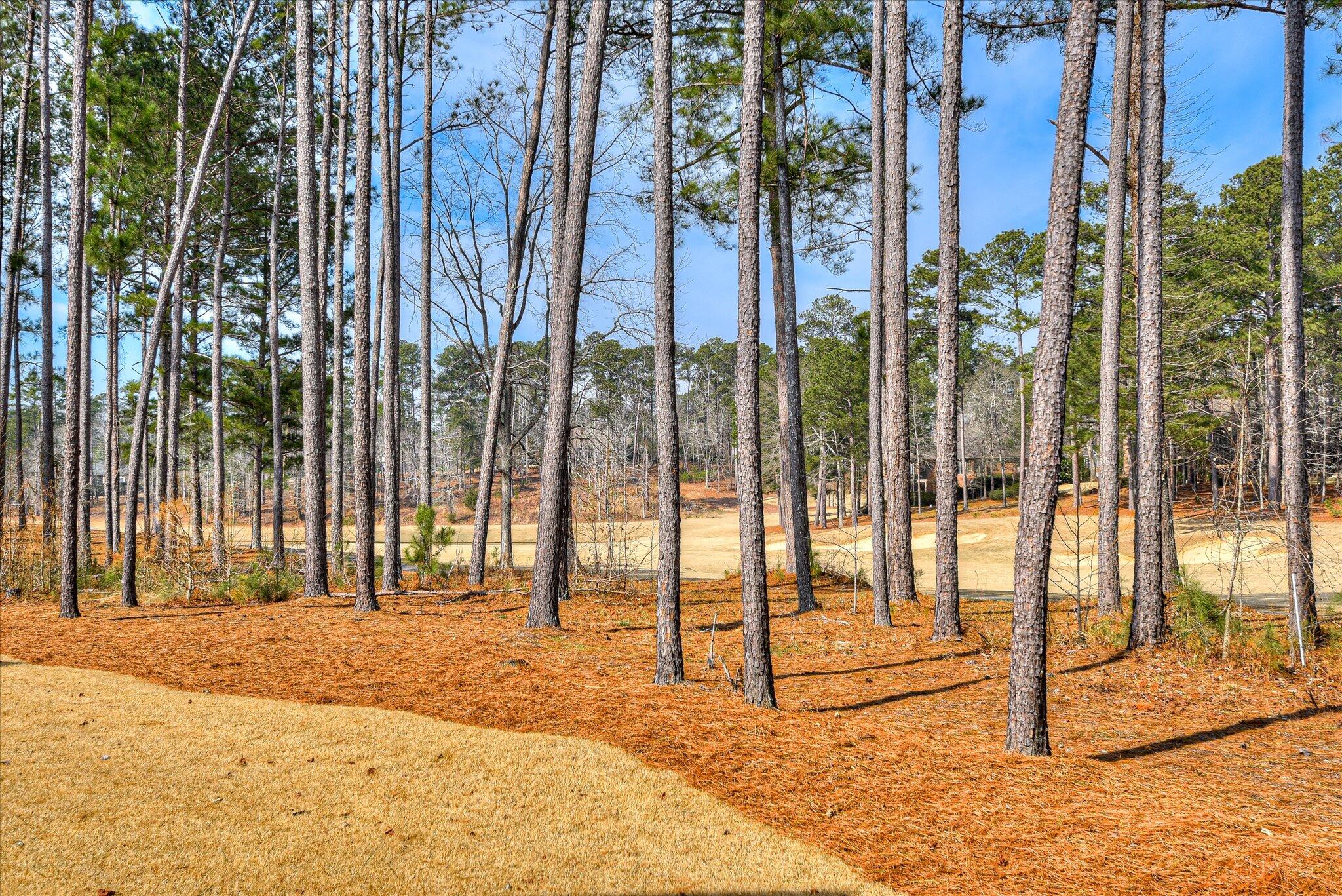 427 Cavalry Run North Augusta, SC 29860 - Photo 59 of 67 59-159