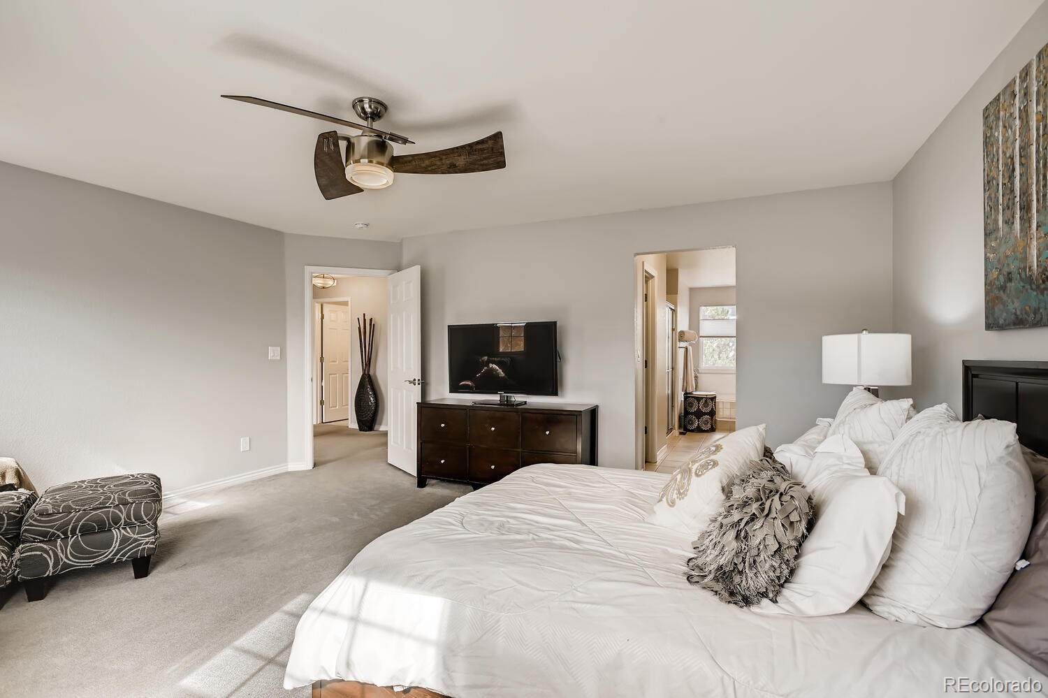 9895 Silver Maple Road Highlands Ranch, CO 80129 - Photo 17 of 33 Gallery Image 17