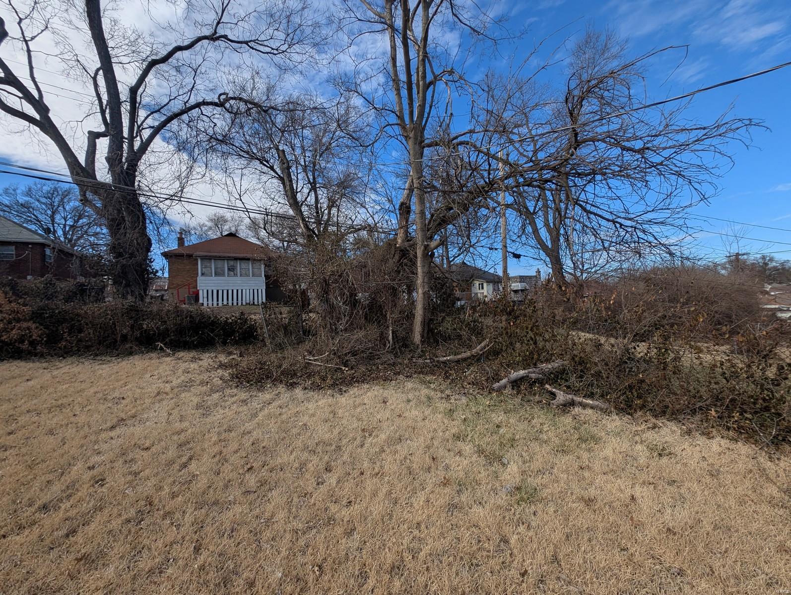 3101 Gary Drive St. Louis, MO 63121 - Photo 21 of 21