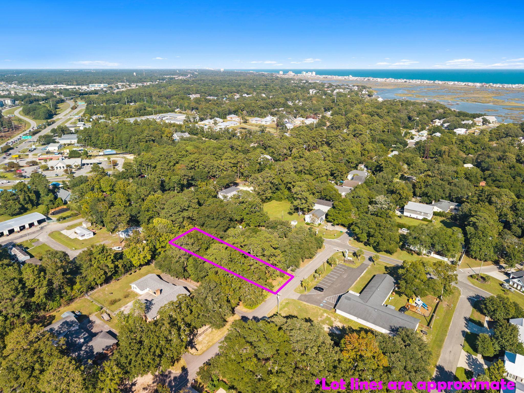 Tbd Hammock Avenue Murrells Inlet, SC 29576 - Photo 2 of 19 Gallery Image 2