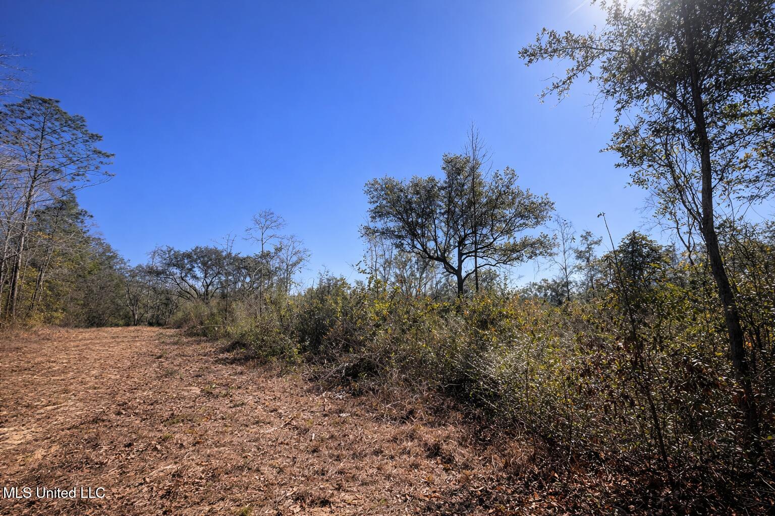 6 A Standard Cemetery Road Kiln, MS 39556 - Photo 1 of 9 Land