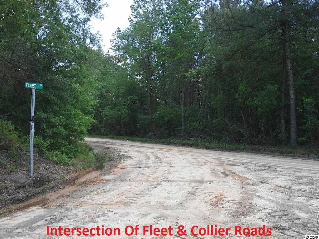 Fleet Southeast Fleet Se Roscoe Road Marion, SC 29571 - Photo 11 of 20 Gallery Image 11