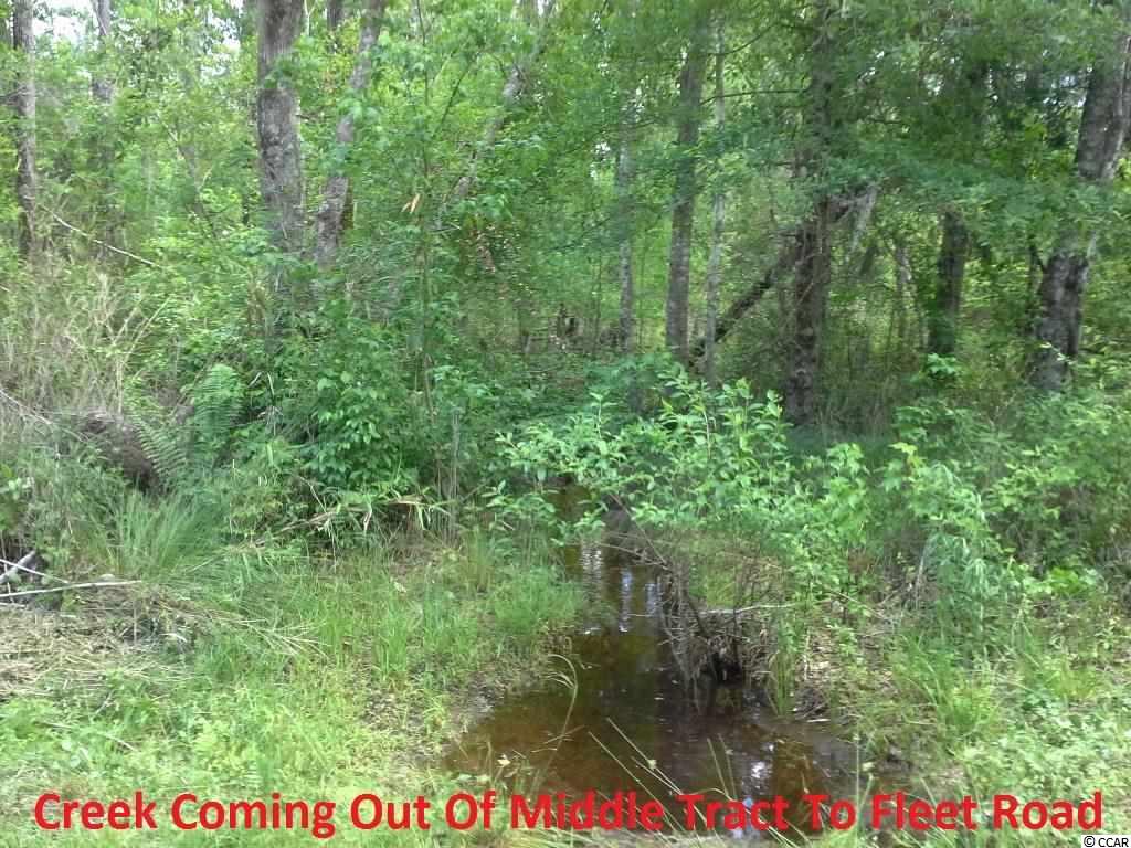 Fleet Southeast Fleet Se Roscoe Road Marion, SC 29571 - Photo 12 of 20 Gallery Image 12