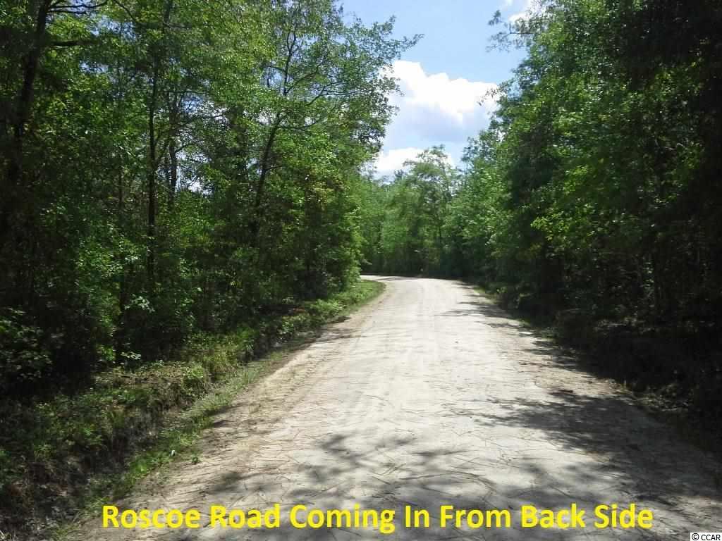 Fleet Southeast Fleet Se Roscoe Road Marion, SC 29571 - Photo 19 of 20 Gallery Image 19
