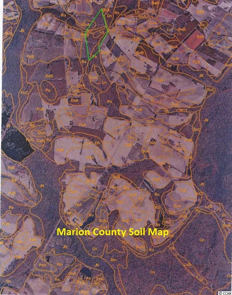 Fleet Southeast Fleet Se Roscoe Road Marion, SC 29571 - Photo 20 of 20 Gallery Image 20