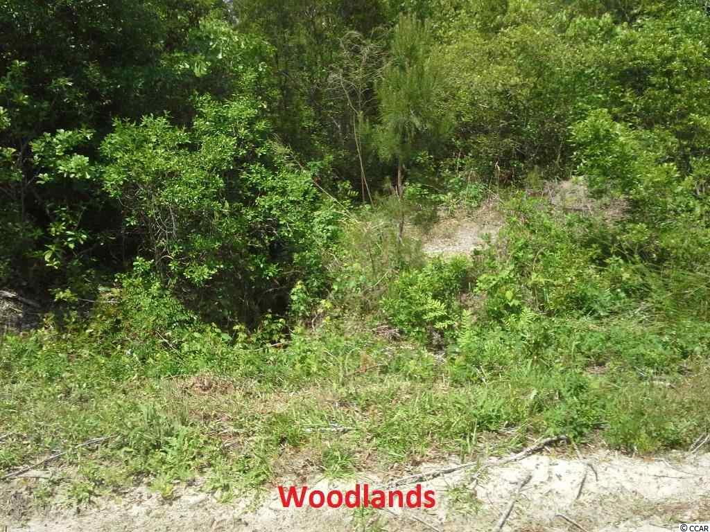 Fleet Southeast Fleet Se Roscoe Road Marion, SC 29571 - Photo 8 of 20 Gallery Image 8