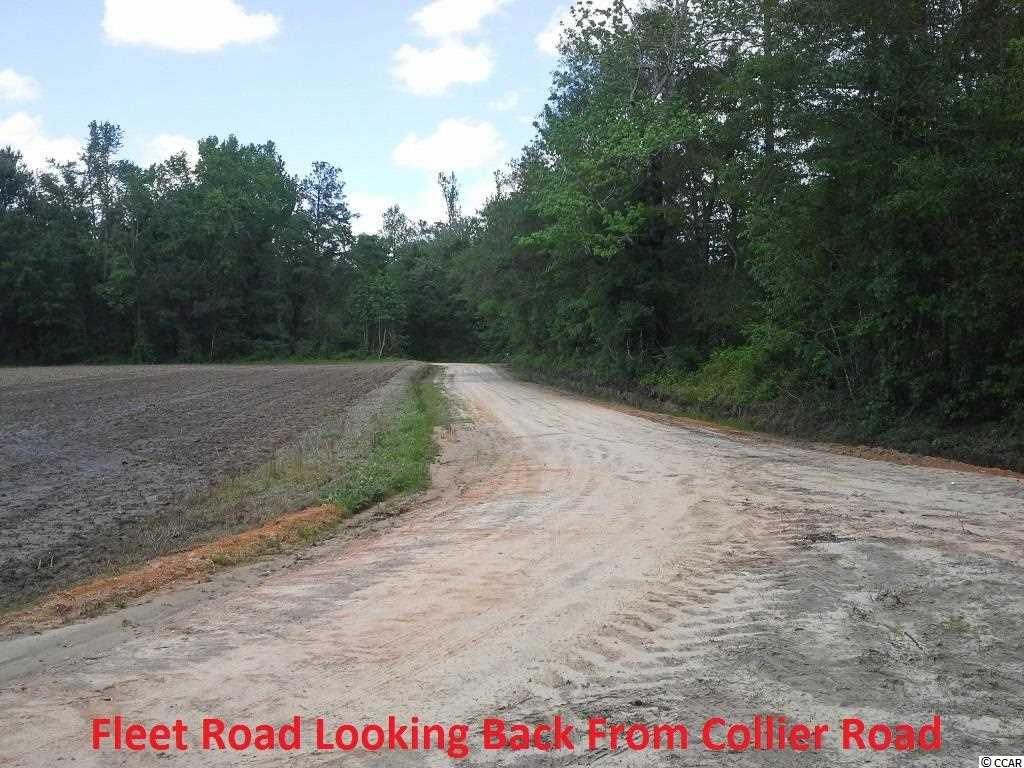 Fleet Southeast Fleet Se Roscoe Road Marion, SC 29571 - Photo 9 of 20 Gallery Image 9