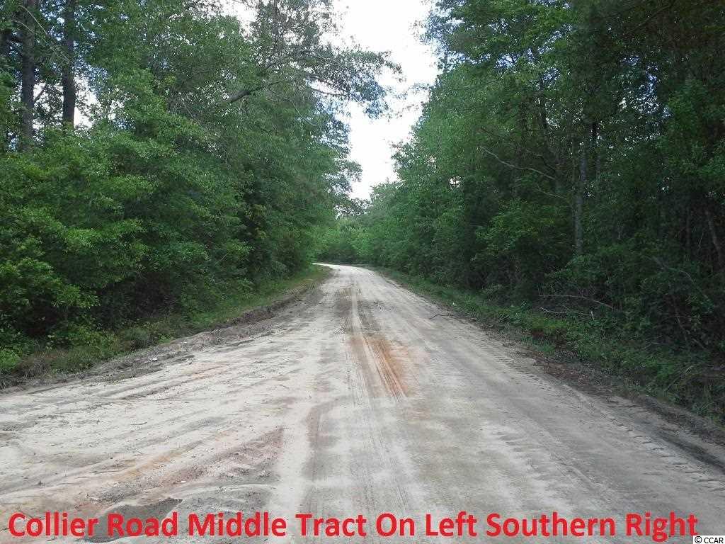 Fleet Southeast Fleet Se Roscoe Road Marion, SC 29571 - Photo 10 of 20 Gallery Image 10