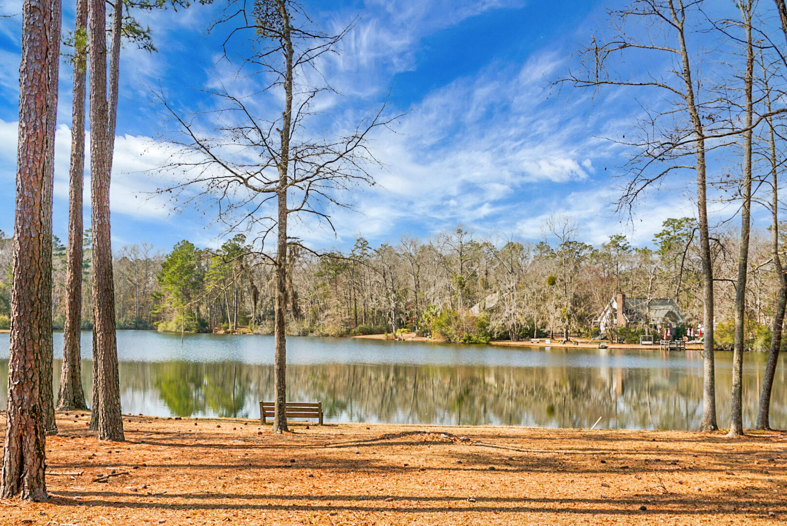 1 Santee Lakes Court Elloree, SC 29047 - Photo 62 of 79