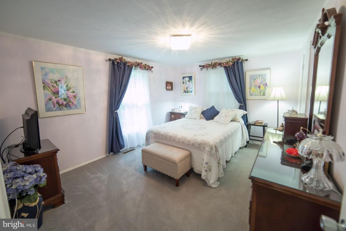 6299 Igo Road King George, VA 22485 - Photo 21 of 23 Bedroom (Master)