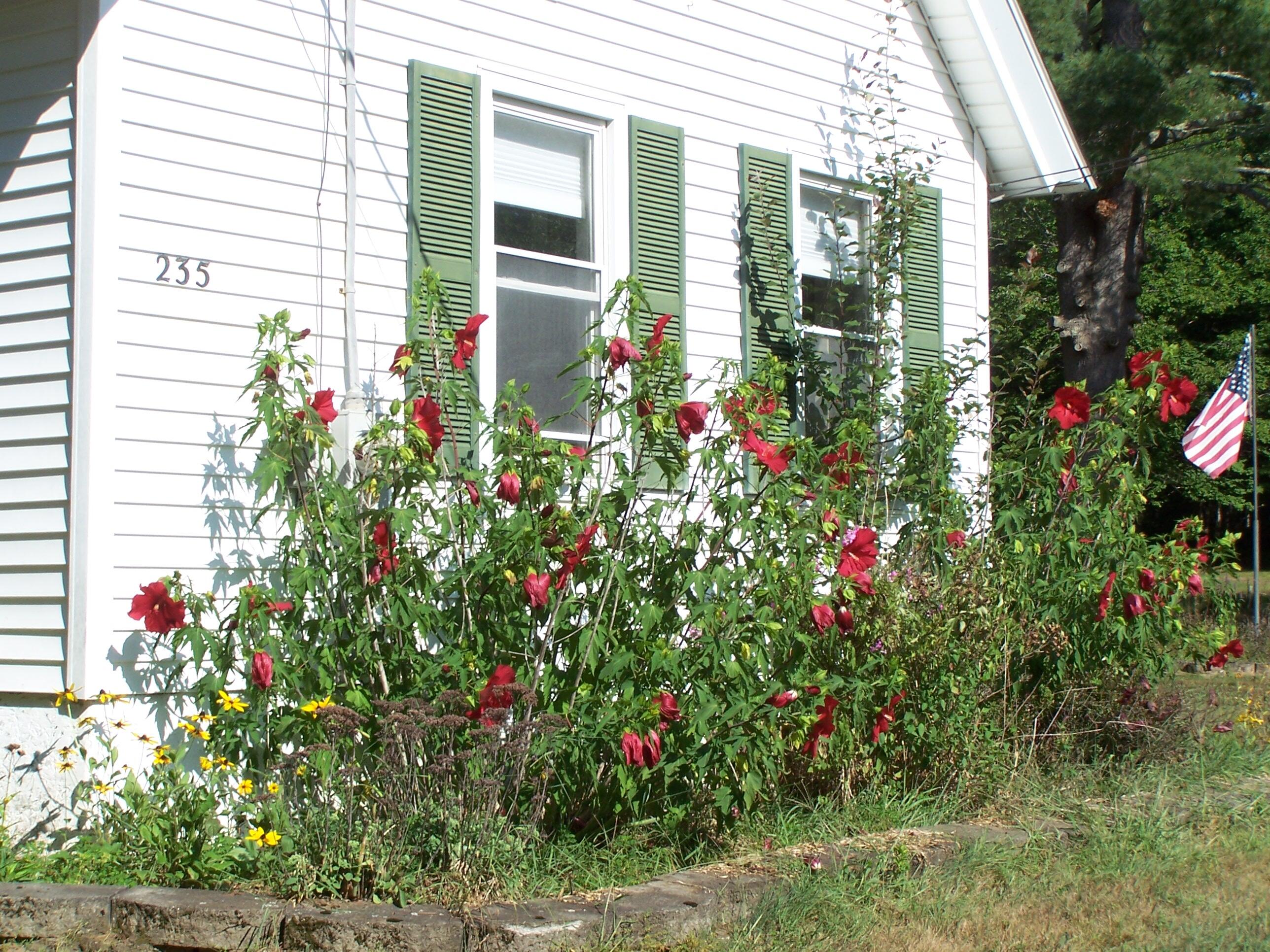 235 Ferry Road Lisbon, ME 04250 - Photo 16 of 79 103_0469
