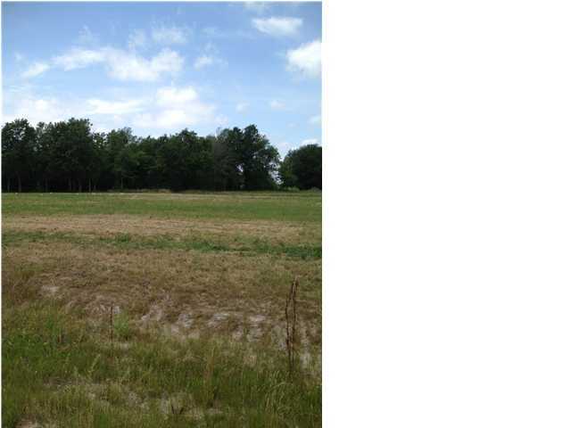870 Richard School Road Church Point, LA 70525 - Photo 1 of 1 Primary Photo