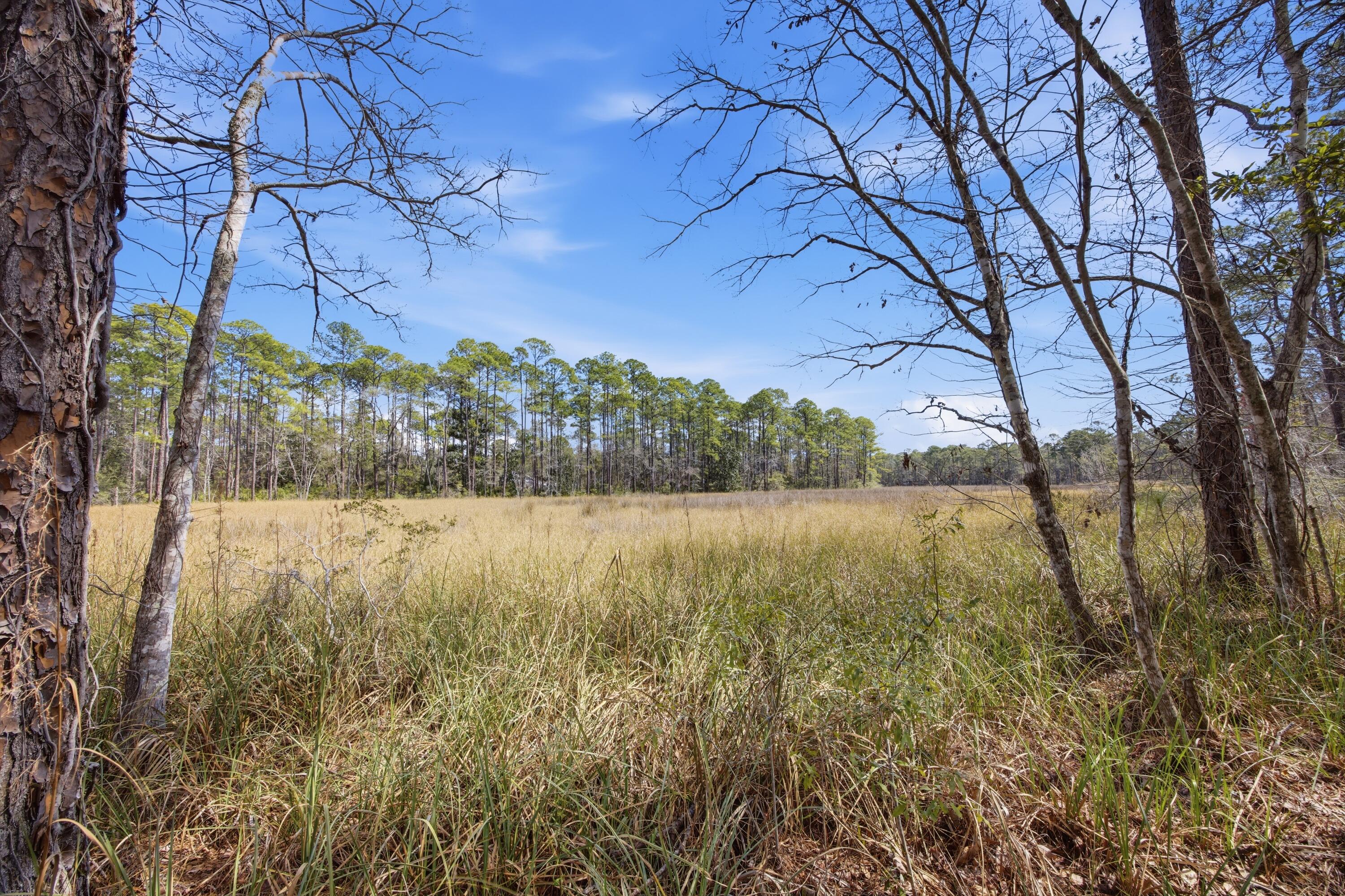 65 Island Grove Drive Freeport, FL 32439 - Photo 32 of 36 E79A8808
