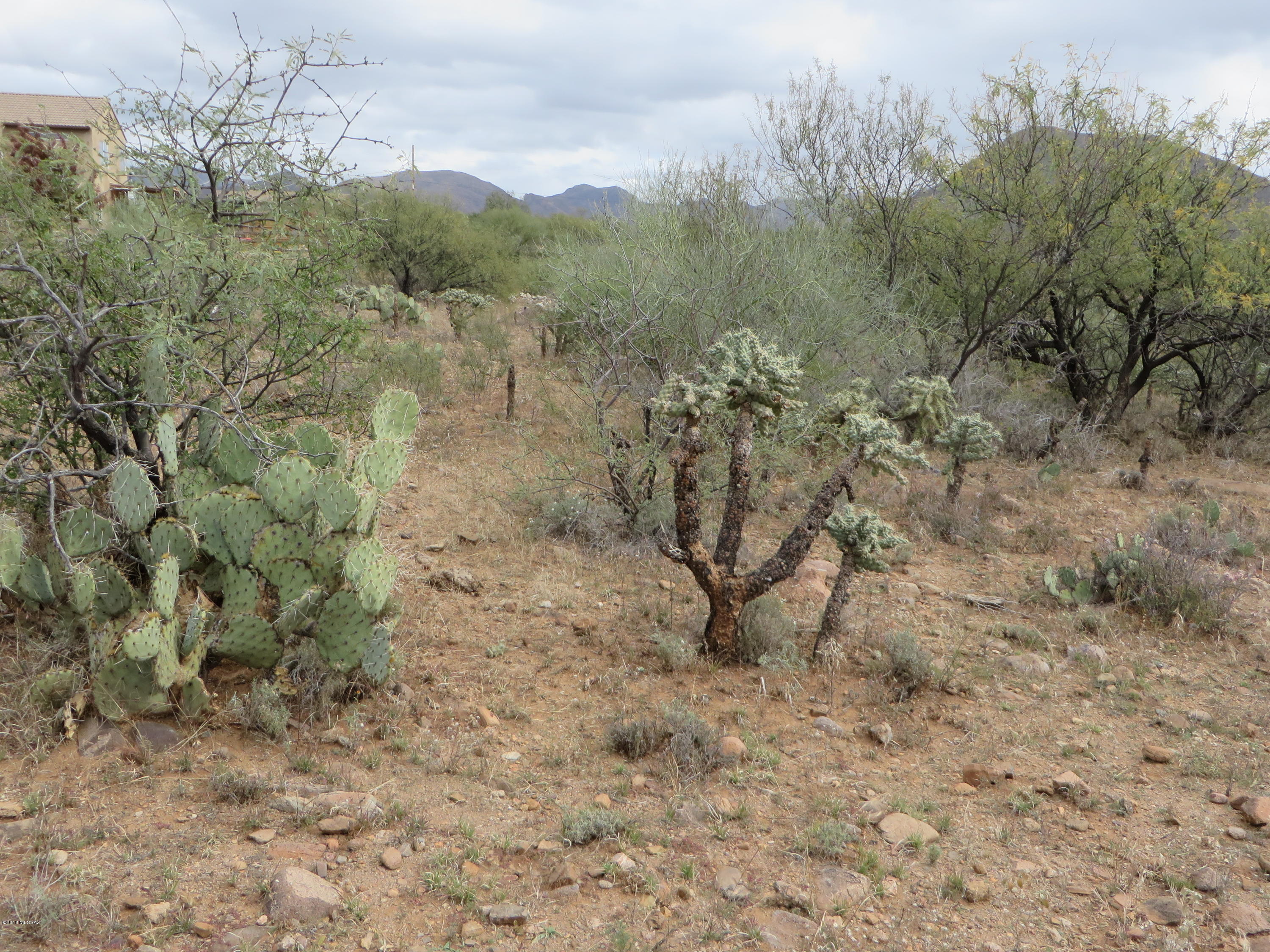 1918 Circulo Greco, Unit 248 Rio Rico, AZ 85648 - Photo 3 of 9