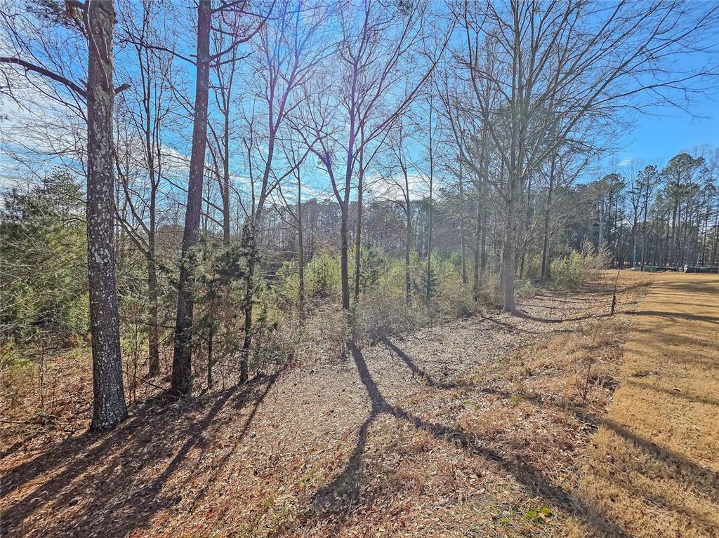1120 Edinberg Drive Villa Rica, GA 30180 - Photo 33 of 35 a backyard of a house with lots of green space