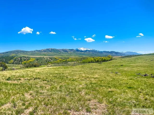 $3,980,000 | 900 E, Downey, ID 83234