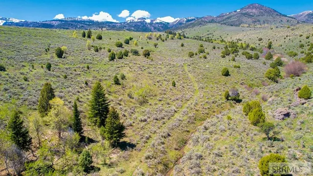 $3,980,000 | 900 E, Downey, ID 83234