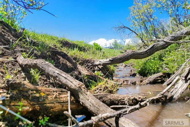 $3,980,000 | 900 E, Downey, ID 83234