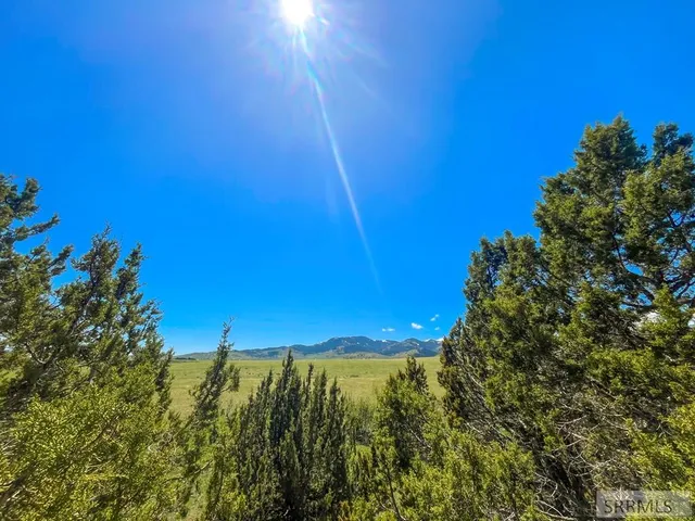 $3,980,000 | 900 E, Downey, ID 83234