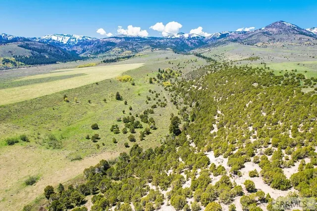 $3,980,000 | 900 E, Downey, ID 83234