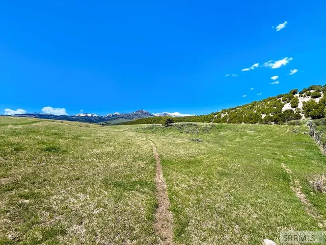 $3,980,000 | 900 E, Downey, ID 83234