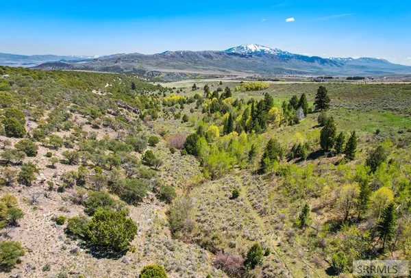 $3,980,000 | 900 E, Downey, ID 83234