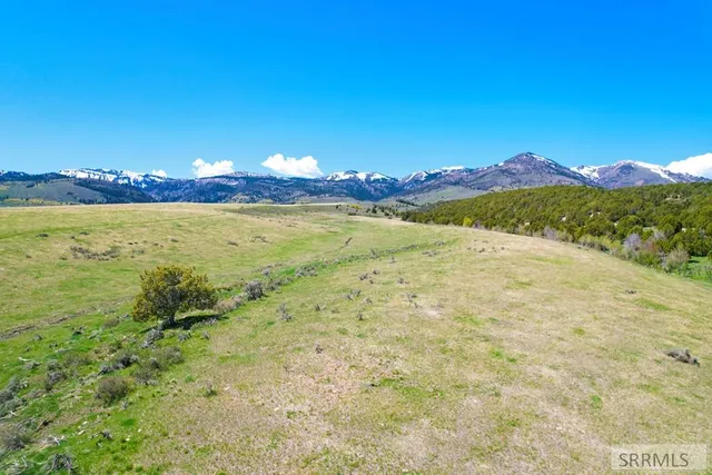 $3,980,000 | 900 E, Downey, ID 83234