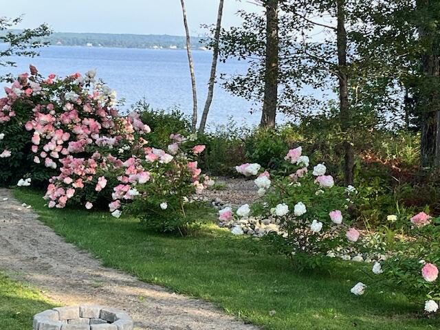 115 Pirates Cove Road Stockton Springs, ME 04981 - Photo 70 of 83 IMG_0643