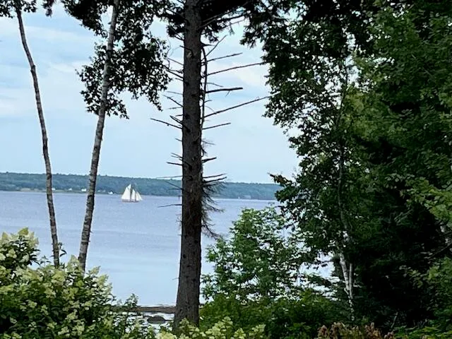 $1,725,000 | 115 Pirates Cove Road, Stockton Springs, ME 04981