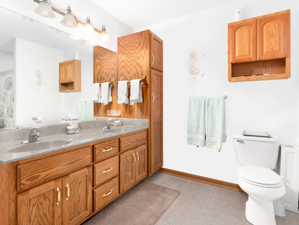 704 Clifford Drive Minooka, IL 60447 - Photo 15 of 25 a bathroom with a granite countertop toilet sink and a mirror