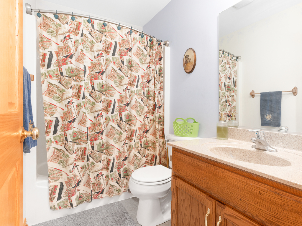 704 Clifford Drive Minooka, IL 60447 - Photo 21 of 25 a bathroom with a sink toilet and shower