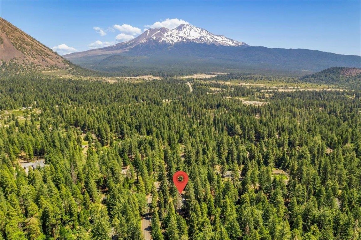 2209 Davis Place Road Mount Shasta, CA 96067 - Photo 27 of 29 Gallery Image 27