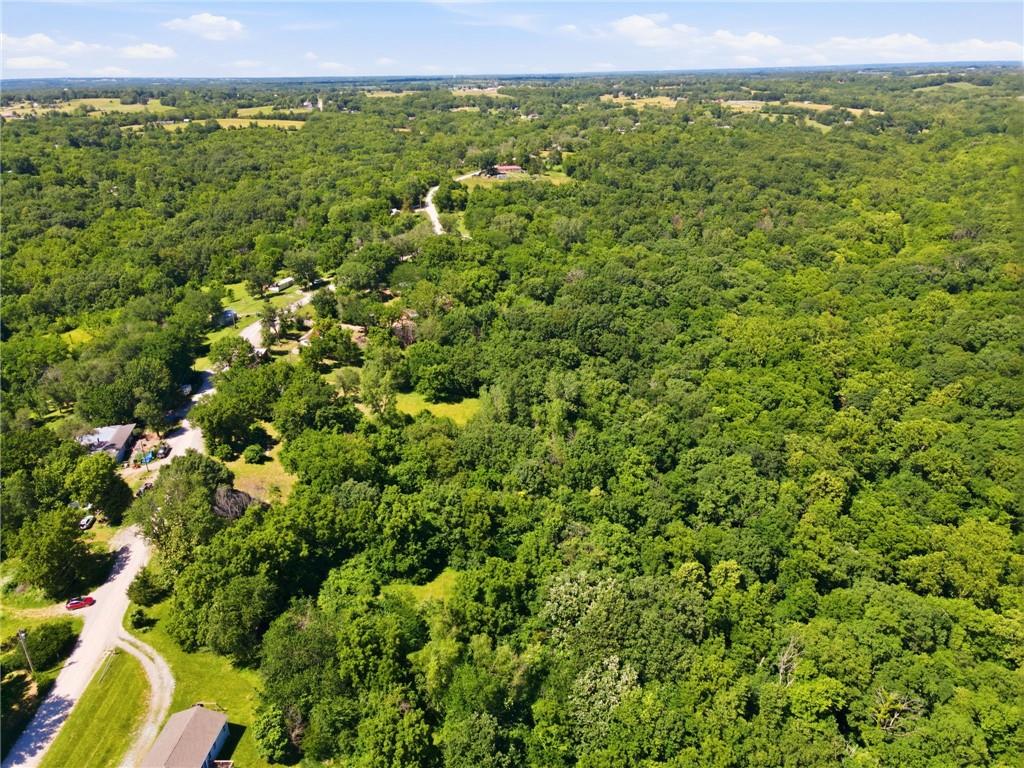 12500 Klatt Road Excelsior Springs, MO 64024 - Photo 4 of 14