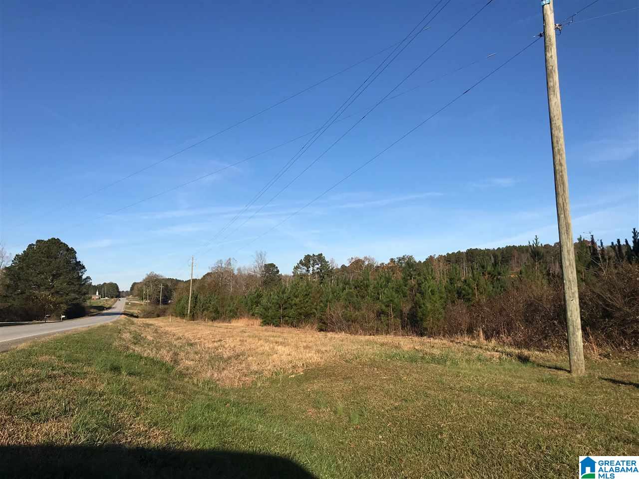 46 Highway 46 Ranburne, AL 36273 - Photo 1 of 5