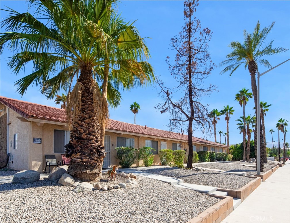 27700 Avenida Terrazo Cathedral City, CA 92234 - Photo 19 of 25 a view of a palm trees in front of a house