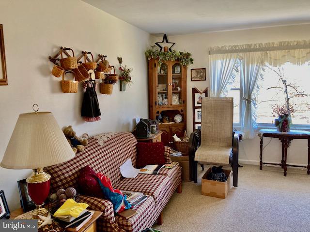 271 Lammey Road Elverson, PA 19520 - Photo 3 of 16 Gallery Image 3
