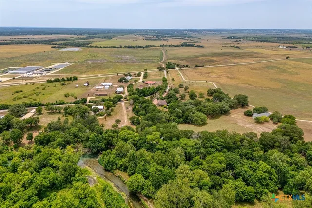 a view of a garden with a tree