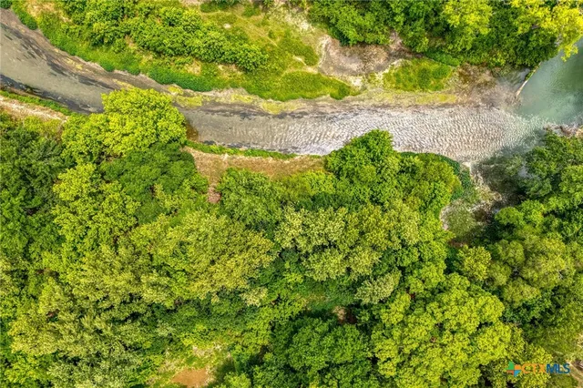 a view of a forest with a houses