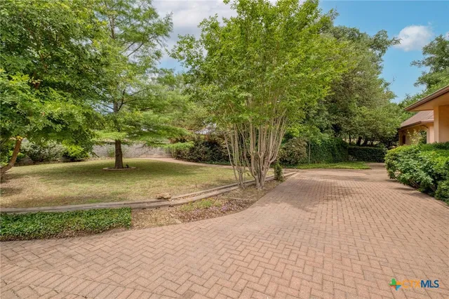 a view of a yard with plants and trees